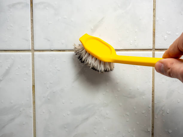 Best Residential Mold Removal  in Meridian, TX