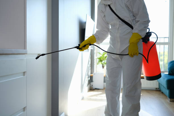 Best Mold Removal Near Me  in Meridian, TX